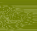 Topiaris